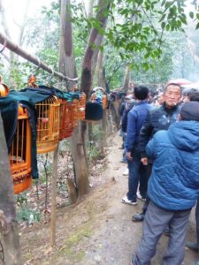 Affluence au marché aux oiseaux