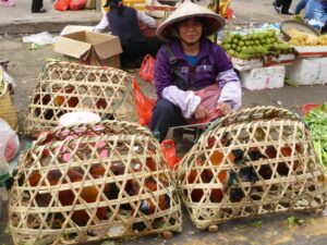Au marché