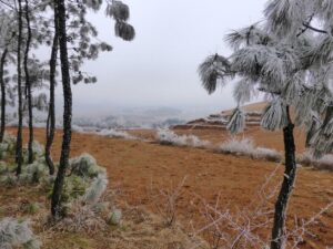 Brouillard givrant