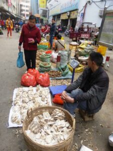Champignons