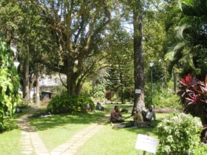 Horniman circle garden