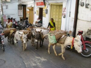 Les gravats, c'est pour les mules