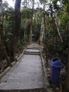 Le chemin de béton