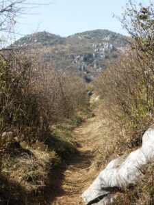 Le chemin de ma randonnée