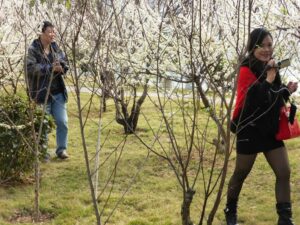 Le printemps arrive !