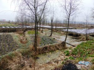 Les abords du lac Caohai