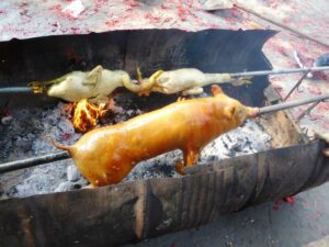 Les deux canards et le porcelet