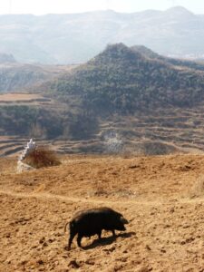 Paysage autour de Bandi