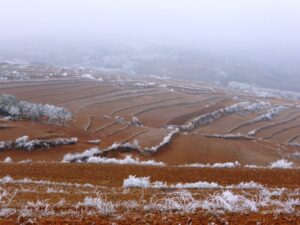 Paysage du plateau fertile