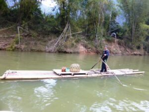 Radeau de bambou