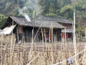 Une ferme au milieu des vignes