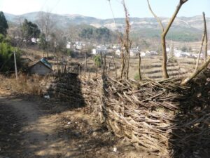 Vers le village de Bandi
