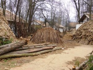 Village