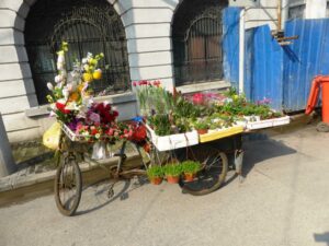 Jardin ambulant