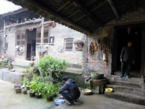 La cour intérieure d'une vieille demeure