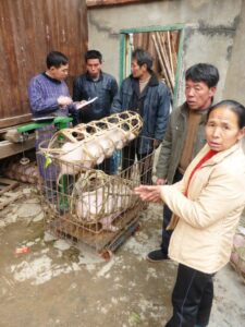 Le prix du cochon