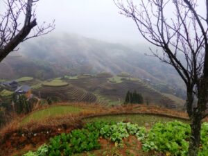 Les terrasses autour de Dazhai