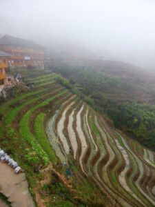 Les terrasses autour de Tiantou