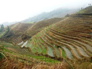 Les terrasses de Ping'an