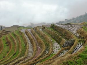 Les terrasses de Ping'an